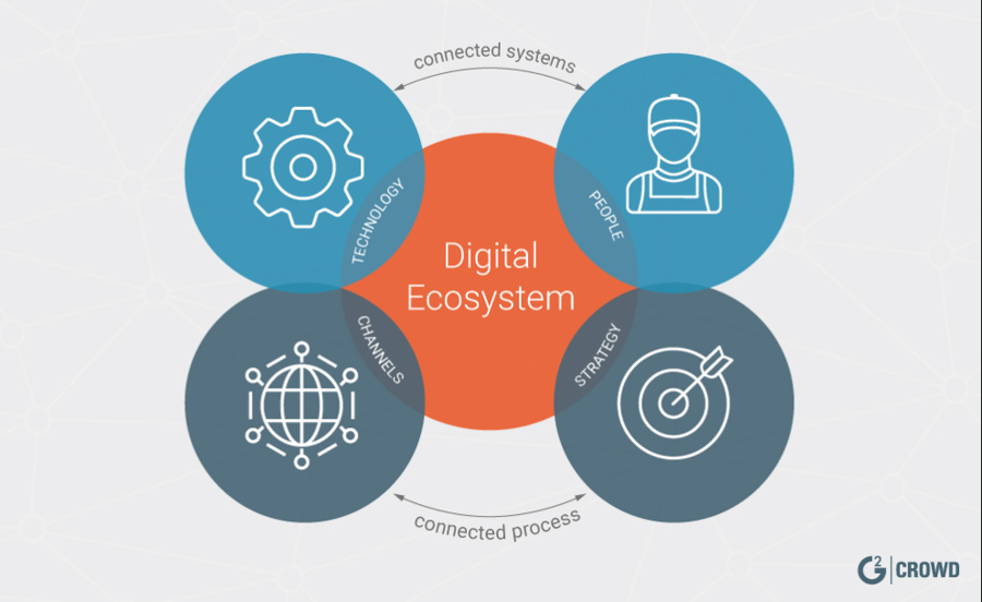 Digital Platform Trends The Digital Ecosystem